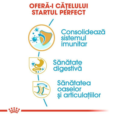 Royal Canin Bulldog Puppy – Hrană Uscată pentru Pui de Câine din Rasa Bulldog – 3 kg